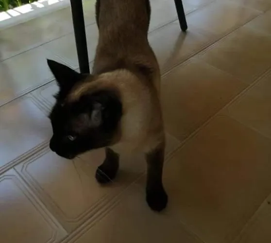 Appartement Katerina *