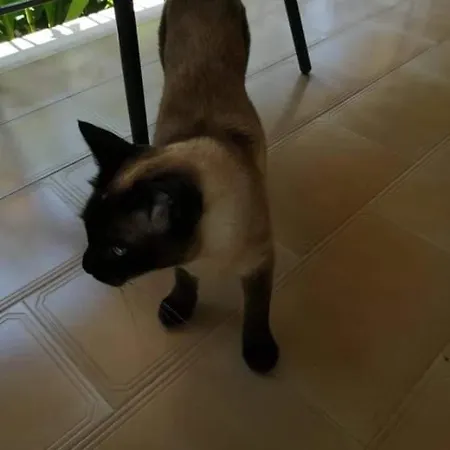 Апартаменты Katerina *