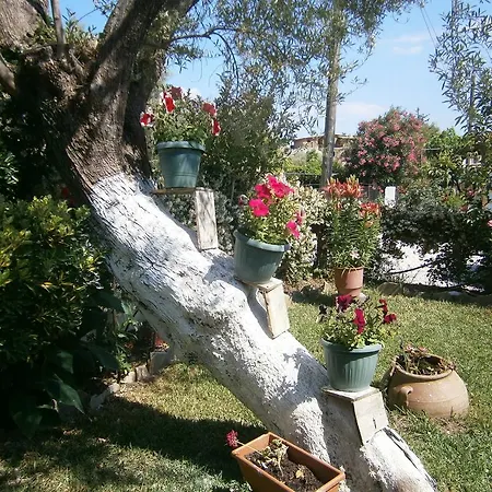 Апартаменты Katerina