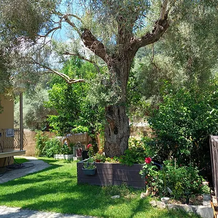 Katerina 公寓 奈德里