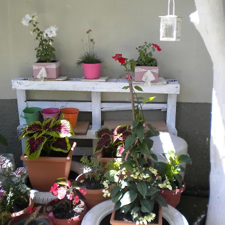 Apartament Katerina