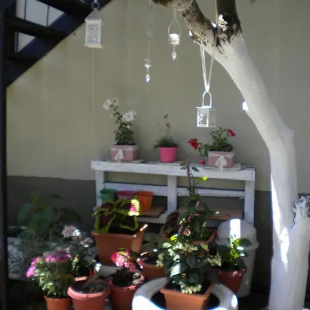 Apartament Katerina *