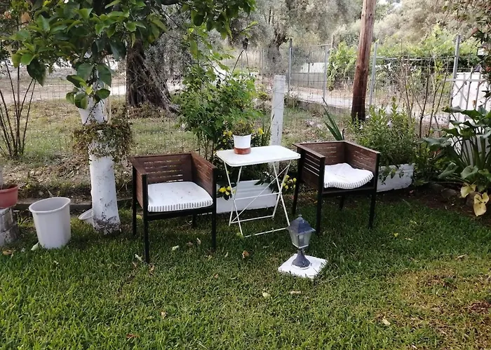 Katerina * 奈德里